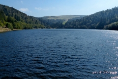 P1020703