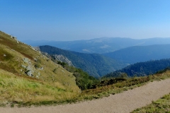 P1020706