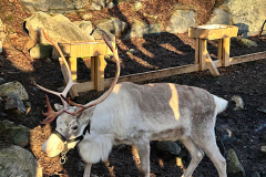 ret_IMG-20251025-WA0001