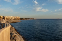 P1000529