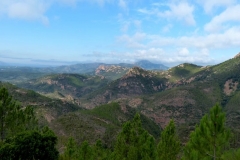 P1000541
