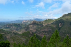 P1000542