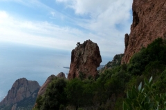 P1000544