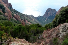 P1000545